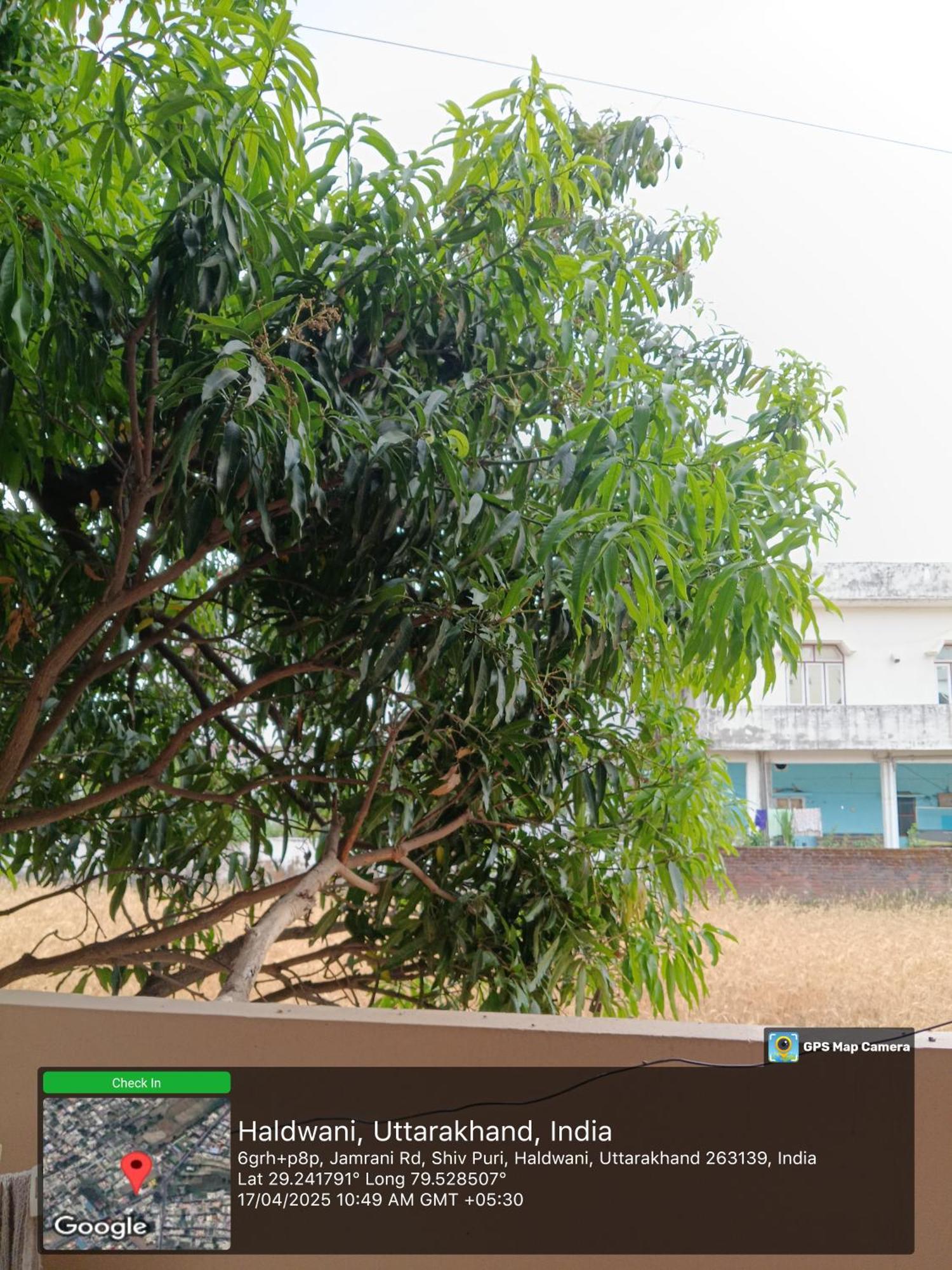 Homestay Haldwani * Haldwani